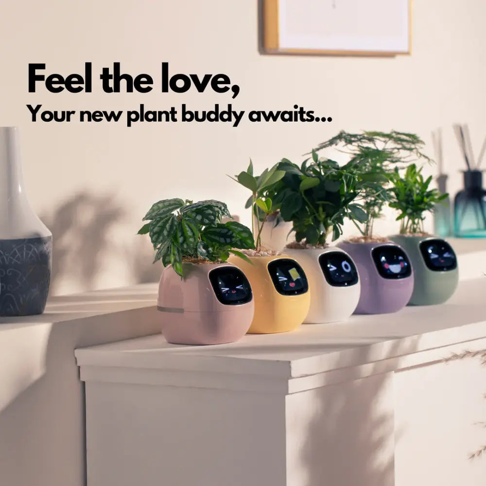 https://es.newtechstore.eu/wp-content/uploads/2024/10/Ivy-Smart-Plant-takes-care-of-your-plants.webp