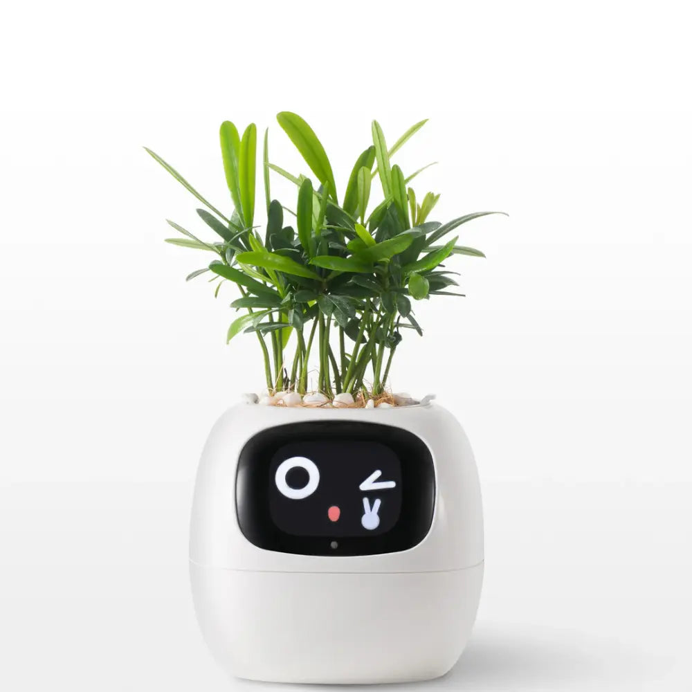 https://es.newtechstore.eu/wp-content/uploads/2024/10/Ivy-Smart-Plant.webp