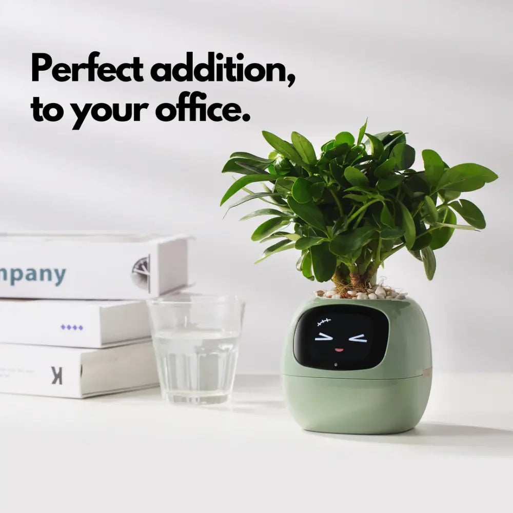 https://es.newtechstore.eu/wp-content/uploads/2024/10/Ivy-Smart-Plant_A-modern-touch-to-your-space.webp