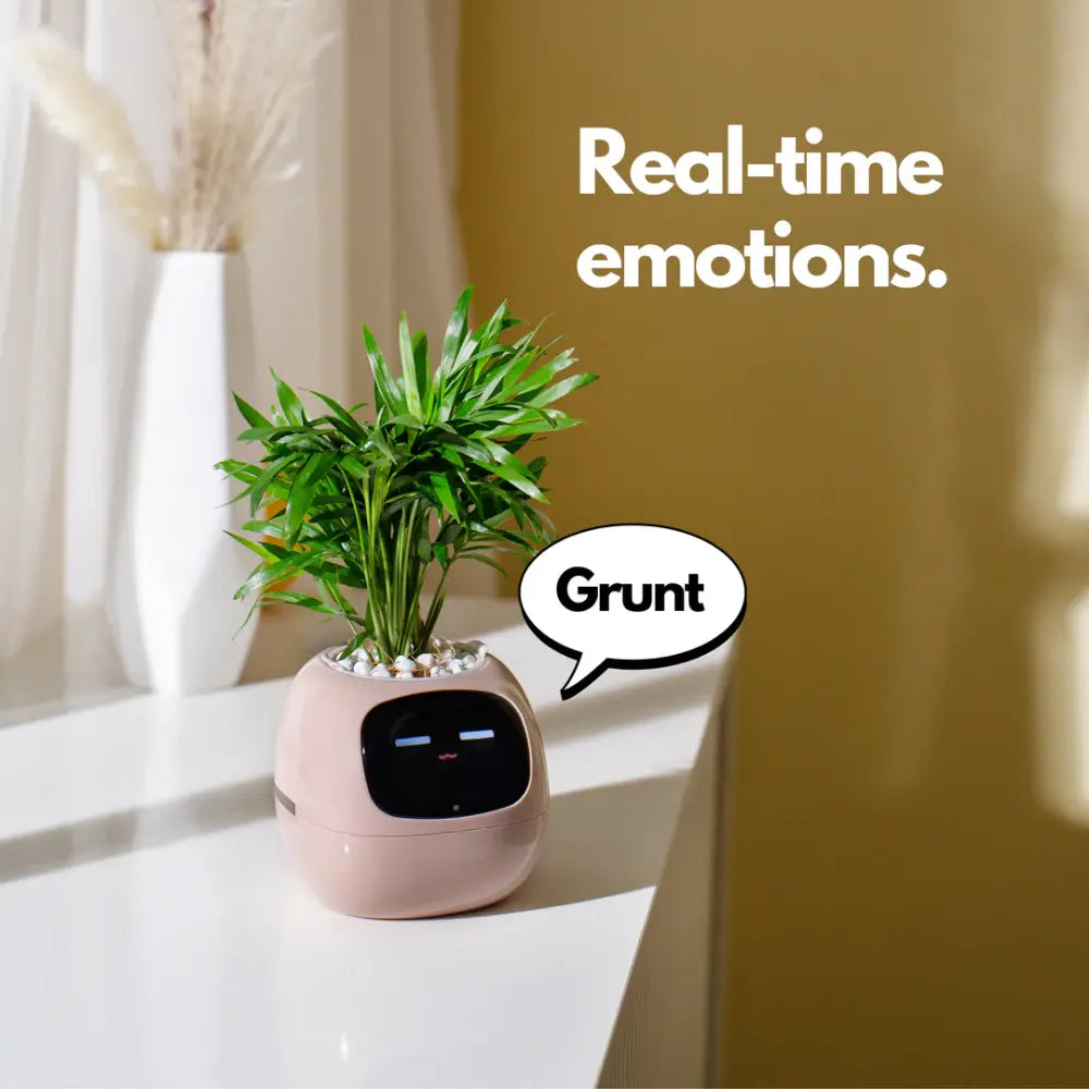 https://es.newtechstore.eu/wp-content/uploads/2024/10/Ivy-Smart-Plant_An-interactive-planter.webp