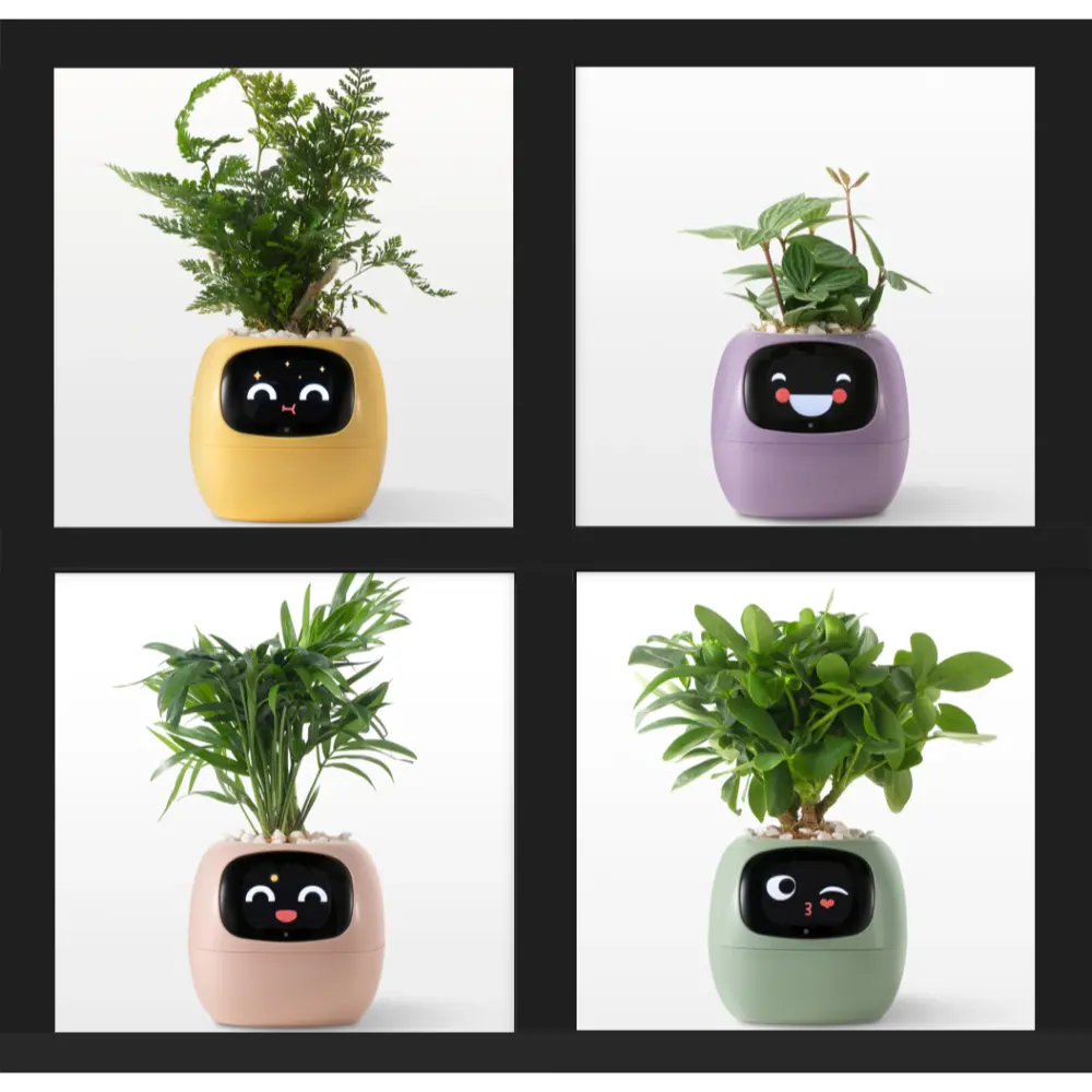 https://es.newtechstore.eu/wp-content/uploads/2024/10/Ivy-Smart-Plant_Yellow-purple-pink-and-green.webp