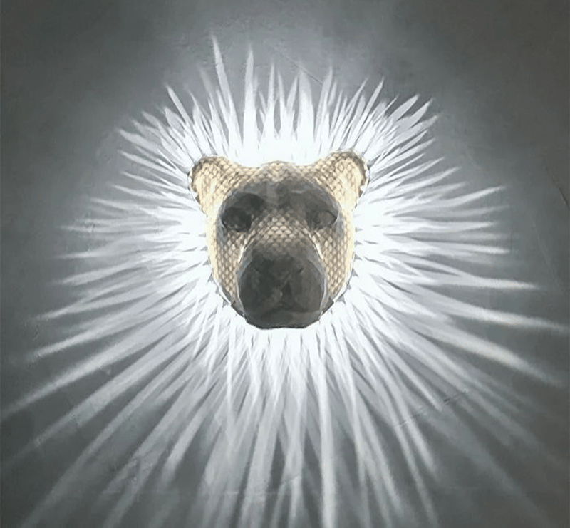 Lumifauna™ 3D Lion LED Wall Light Sashura premium illusion lamp for home decor