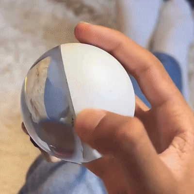 https://cdn.shopify.com/s/files/1/0743/8945/5069/files/puzzloria-custom-video-crystal-ball-memory-orb-1.webp?v=1762964201