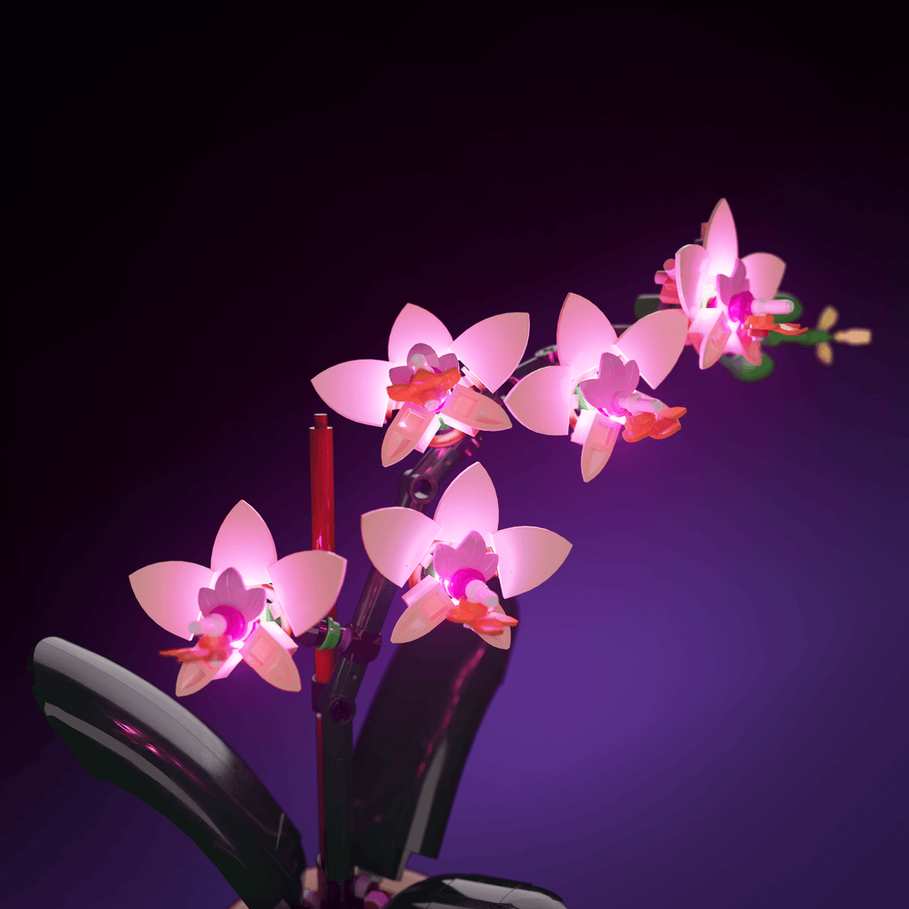 Sashura™ Luminous Mini Orchid LED Kit - Vibrant Floral Ambiance by Sashura Premium