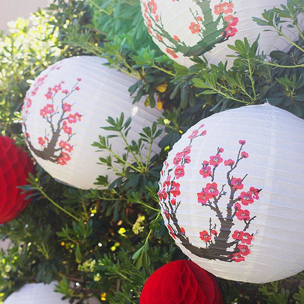 Sashura™ Premium Shibukawa Paper Lantern Set - Authentic Zen Atmosphere by Sashura Premium