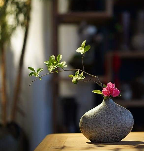 https://cdn.shopify.com/s/files/1/0059/2887/8191/products/vase-hotaru-vases-my-japanese-home_743.jpg?v=1571710615